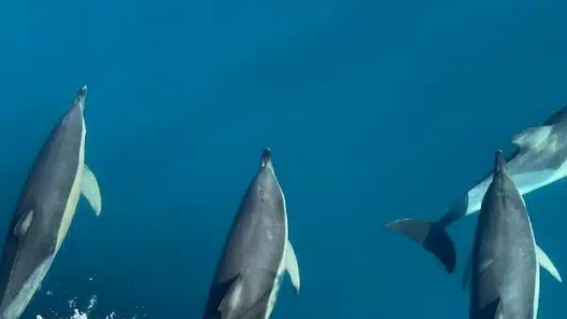 Gigantes a la mar
