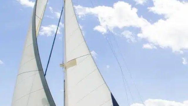 The licence does not make the captain