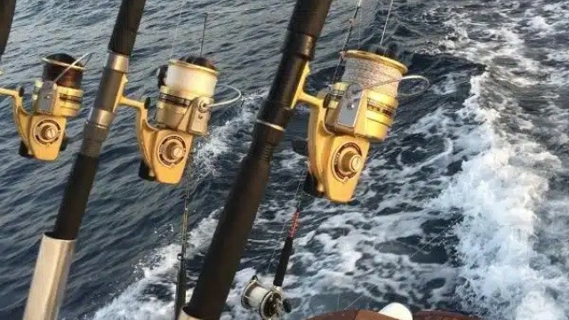 Pesca