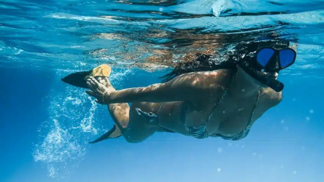 Snorkel